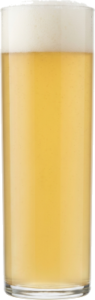 Gose in het bijpassende glas