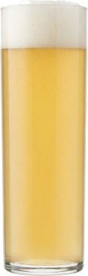 Gose in het bijpassende glas
